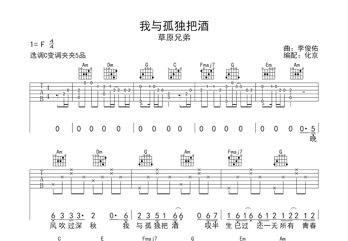 我与孤独把酒吉他谱预览图