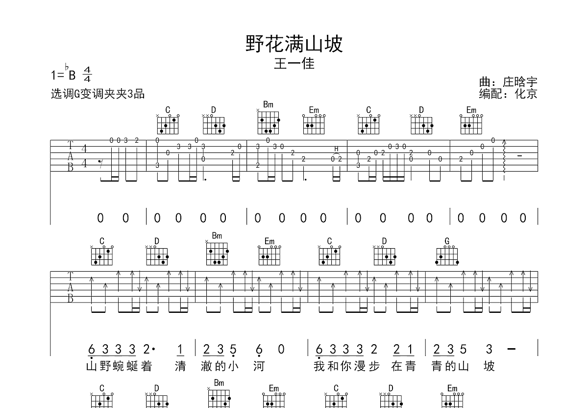 野花满山坡吉他谱预览图