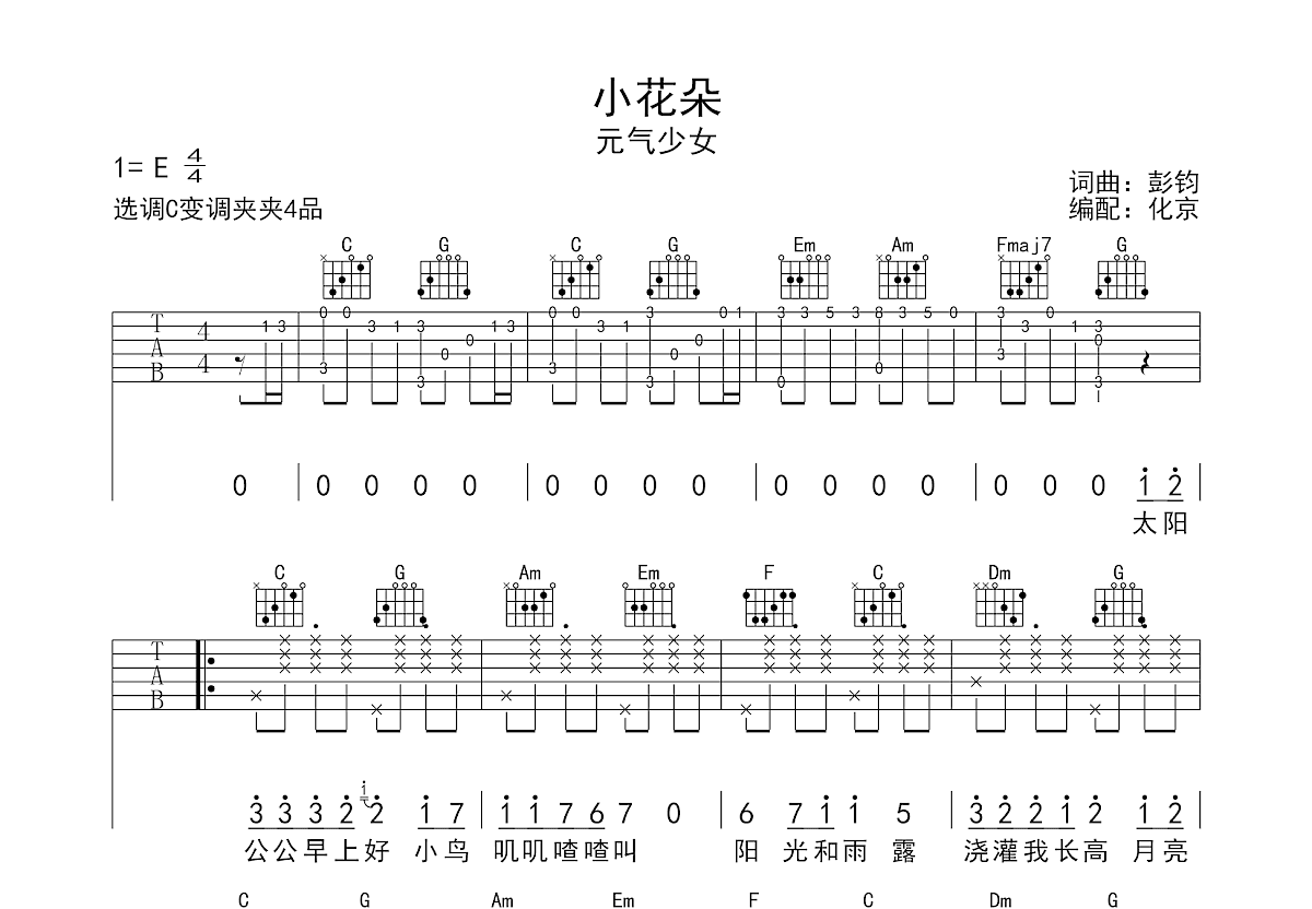 小花朵吉他谱预览图