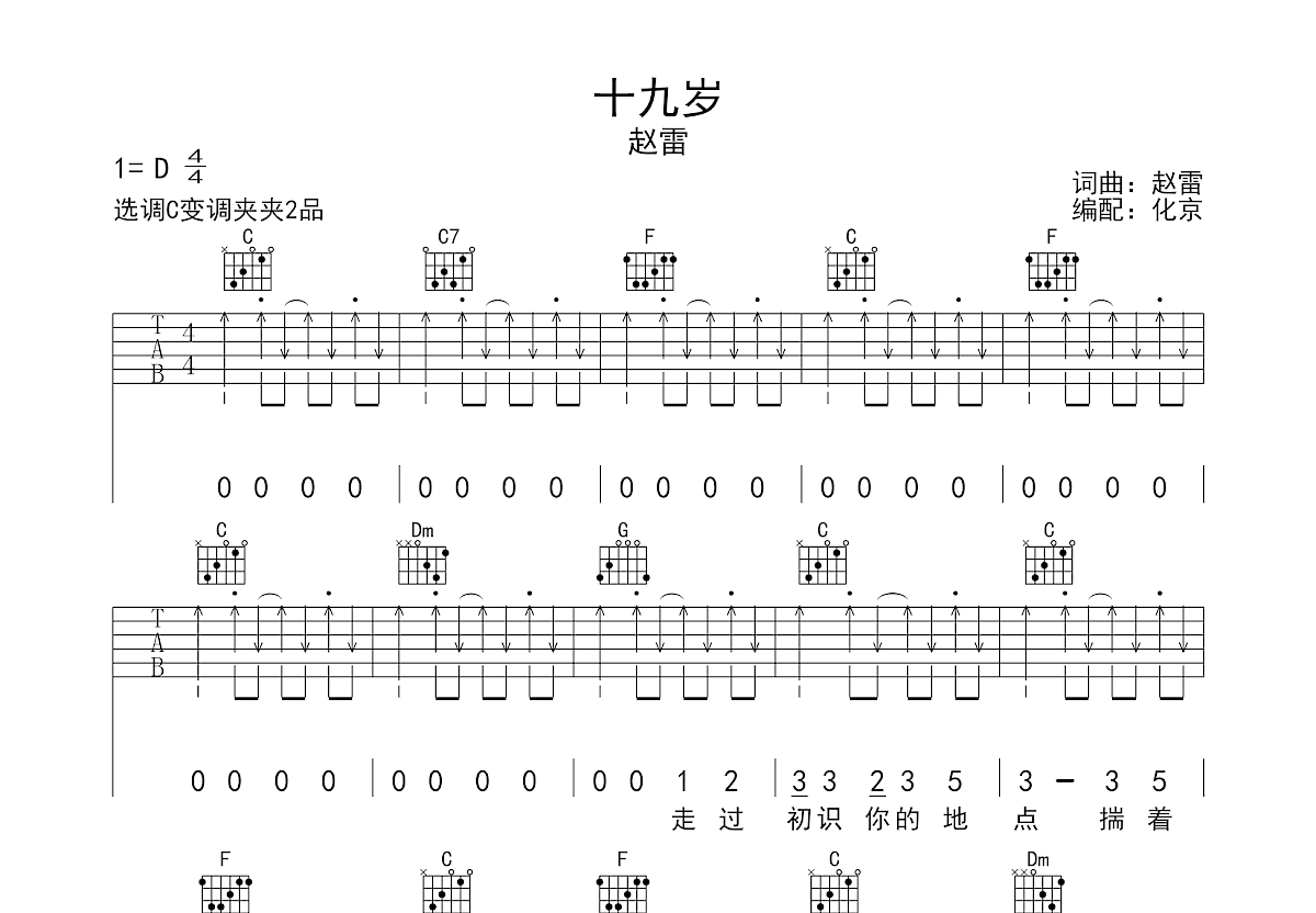 十九岁吉他谱_赵雷_C调弹唱