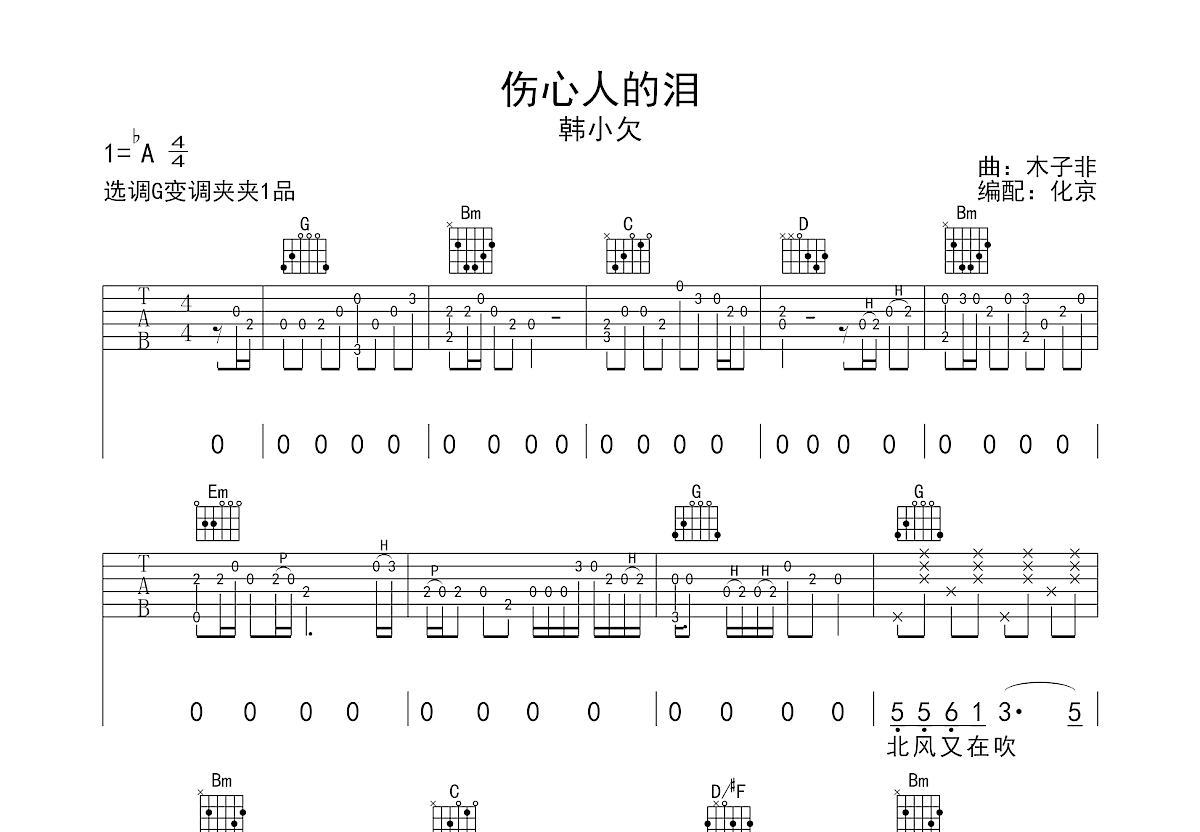 伤心人的泪吉他谱预览图