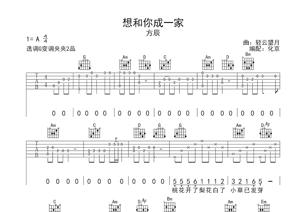 想和你成一家吉他谱预览图