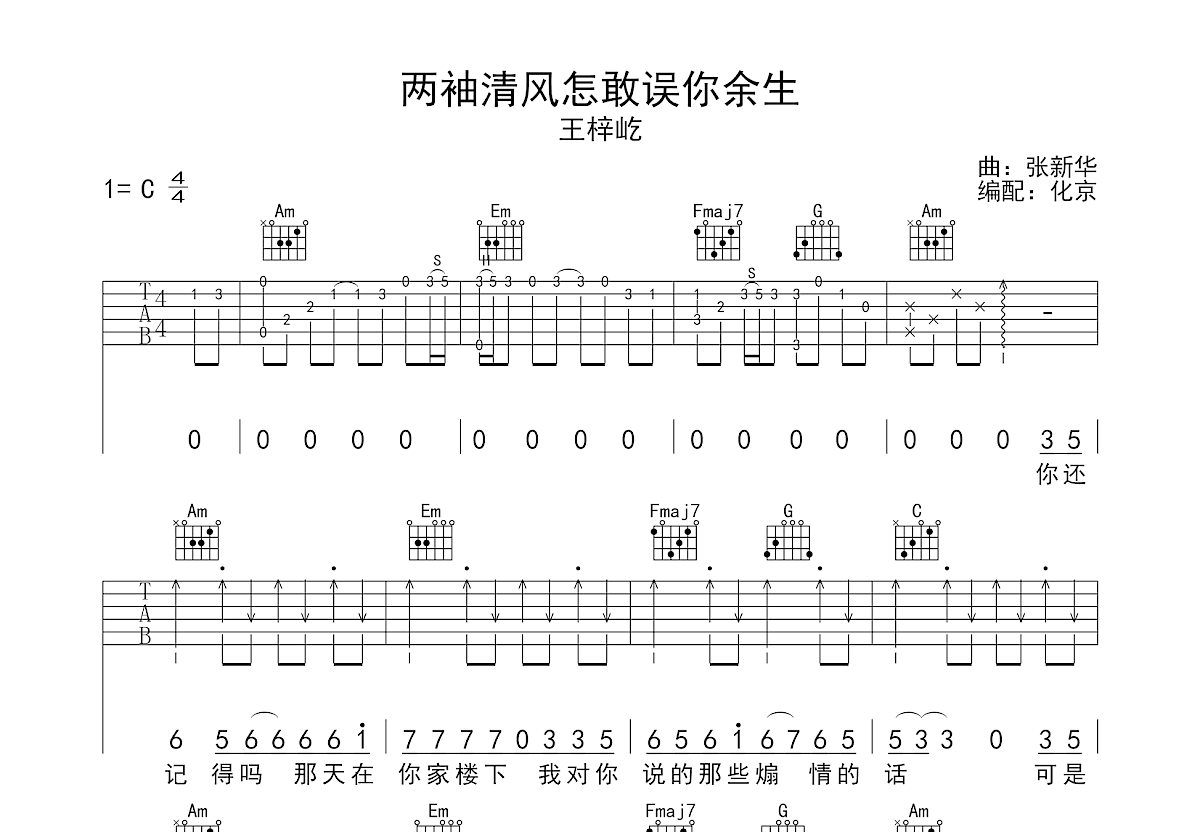 两袖清风怎敢误你余生吉他谱预览图