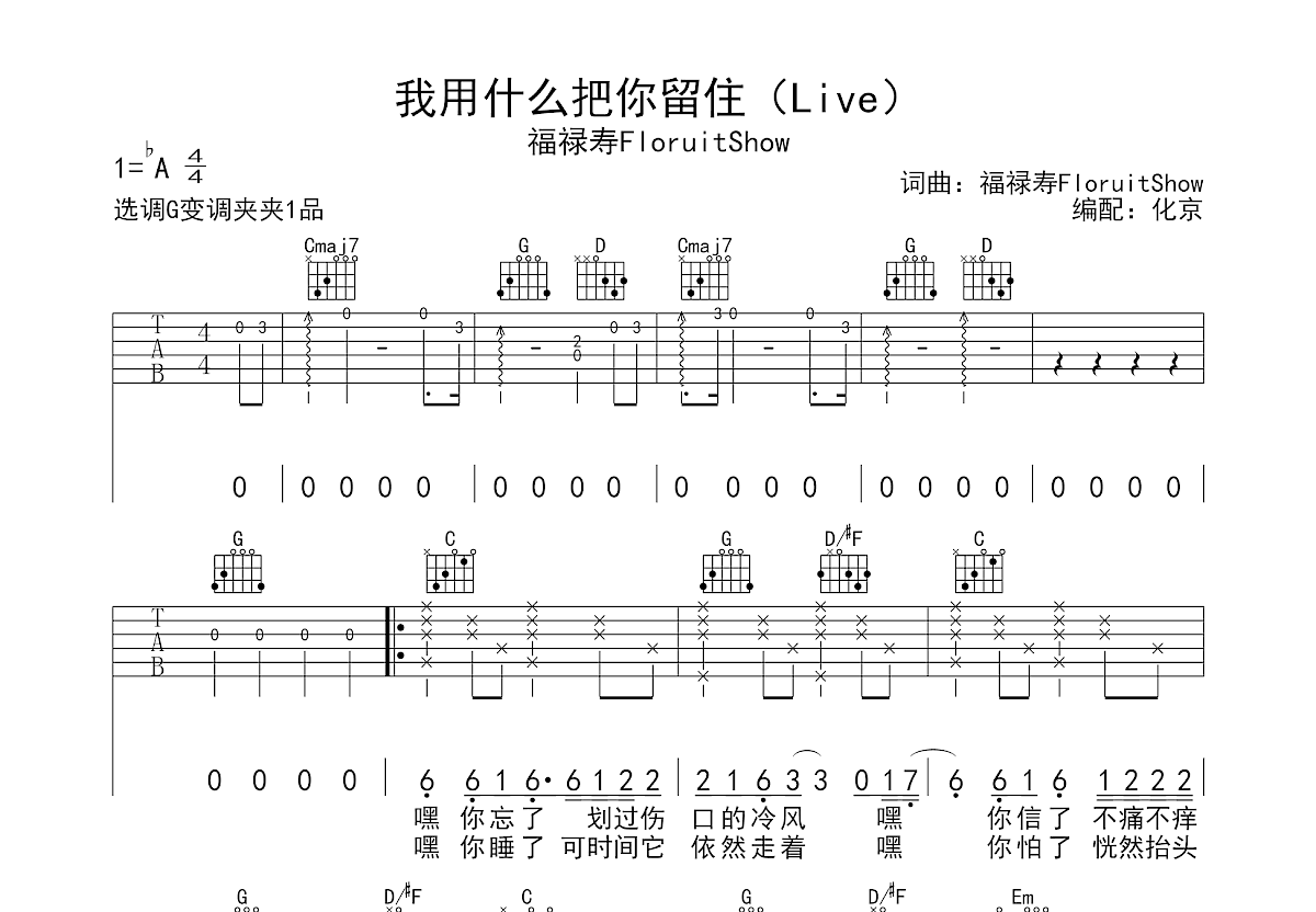 我用什么把你留住吉他谱预览图