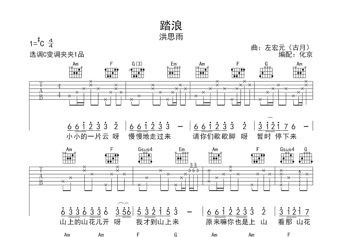 踏浪吉他谱预览图