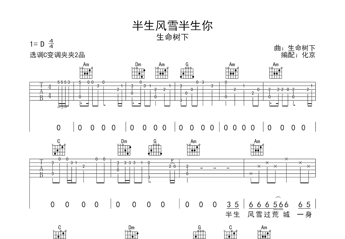 半生风雪半生你吉他谱预览图