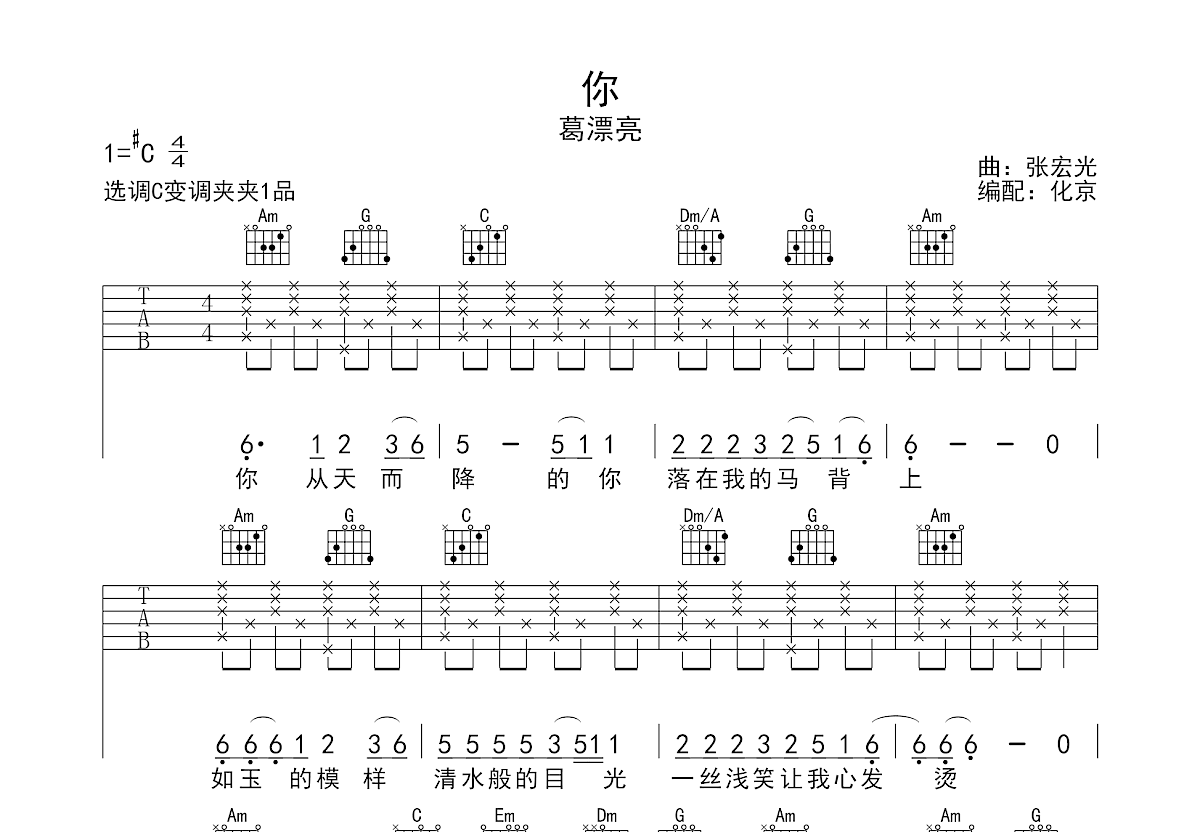 你吉他谱预览图