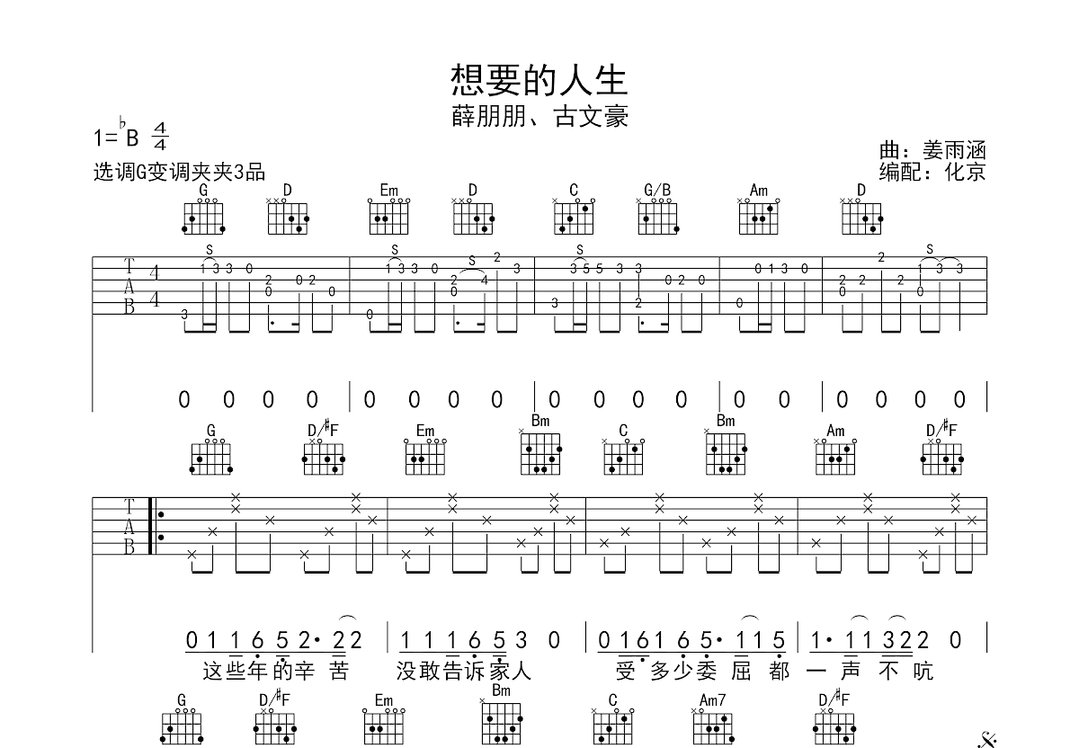 想要的人生吉他谱预览图