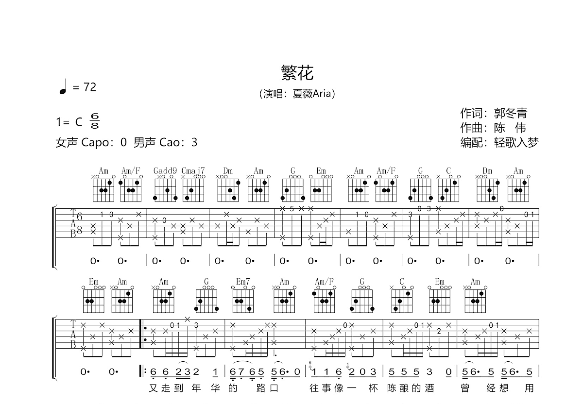 繁花吉他谱预览图