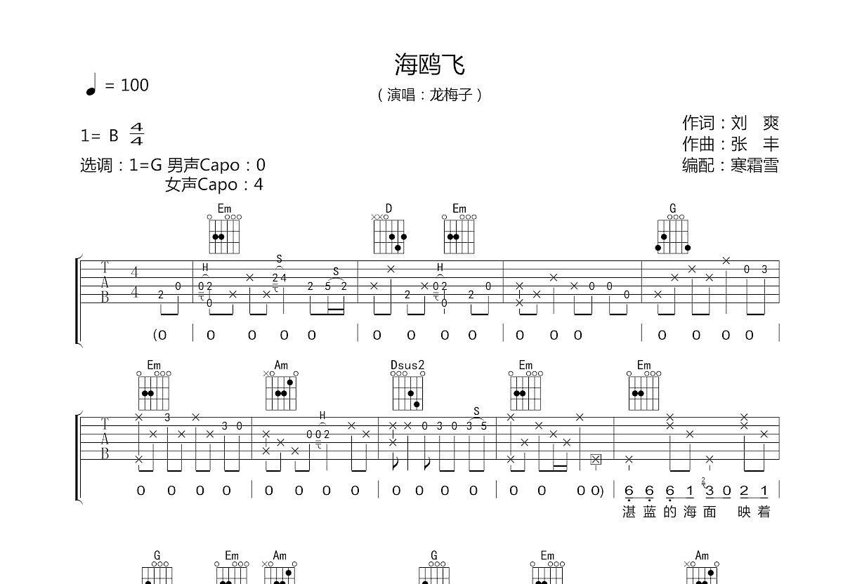 海鸥飞吉他谱预览图