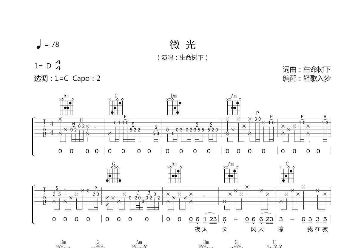 微光吉他谱_生命树下_C调弹唱