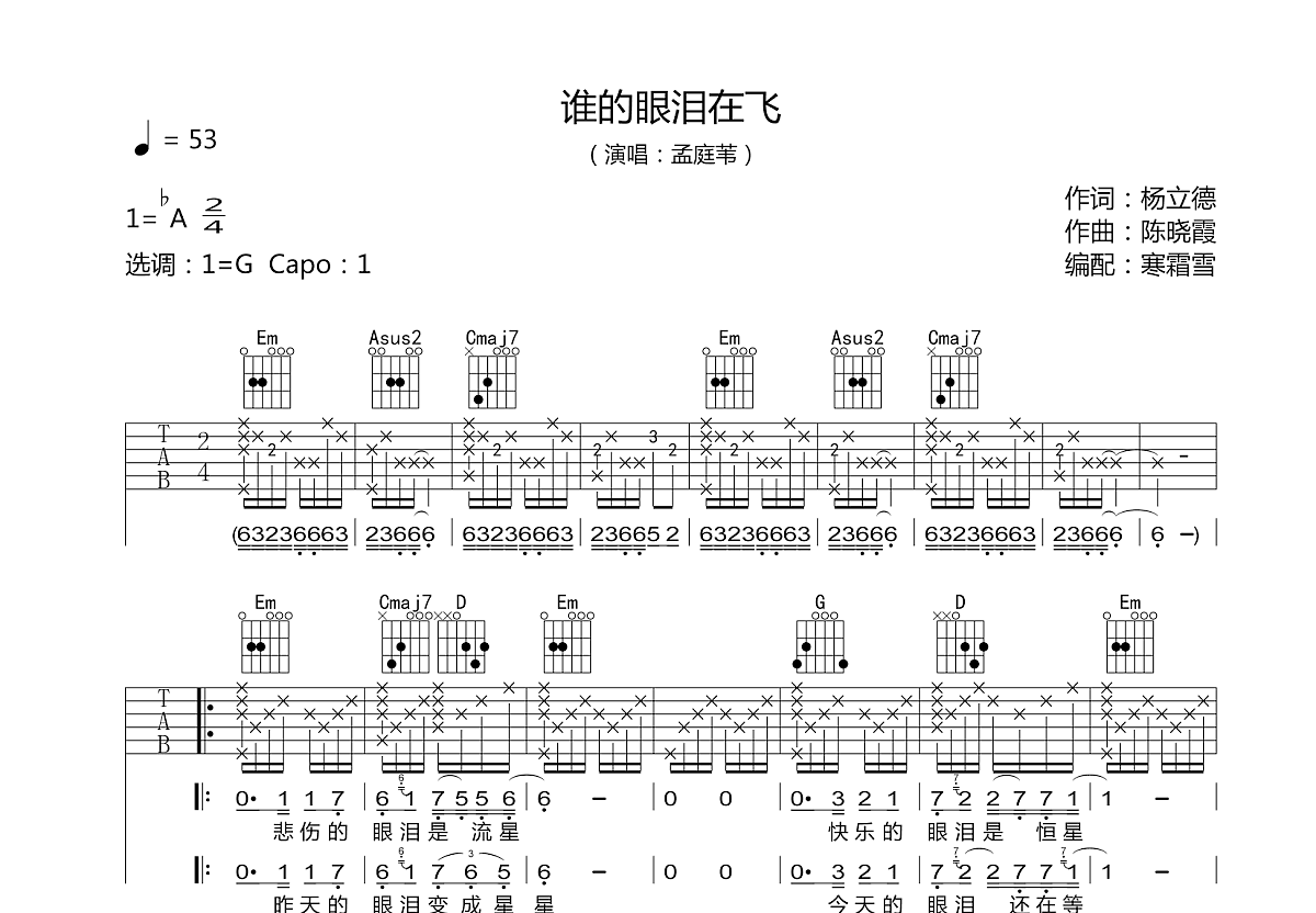 谁的眼泪在飞吉他谱预览图