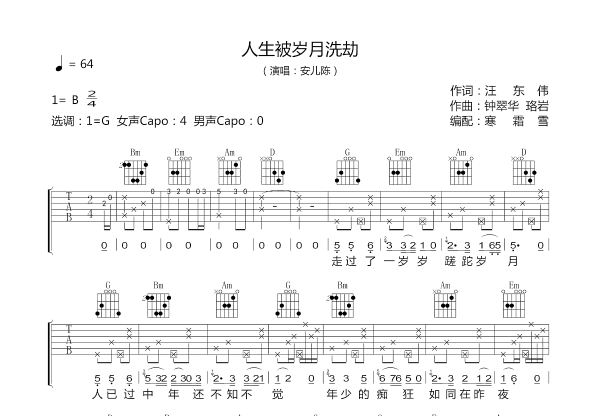 人生被岁月洗劫吉他谱预览图