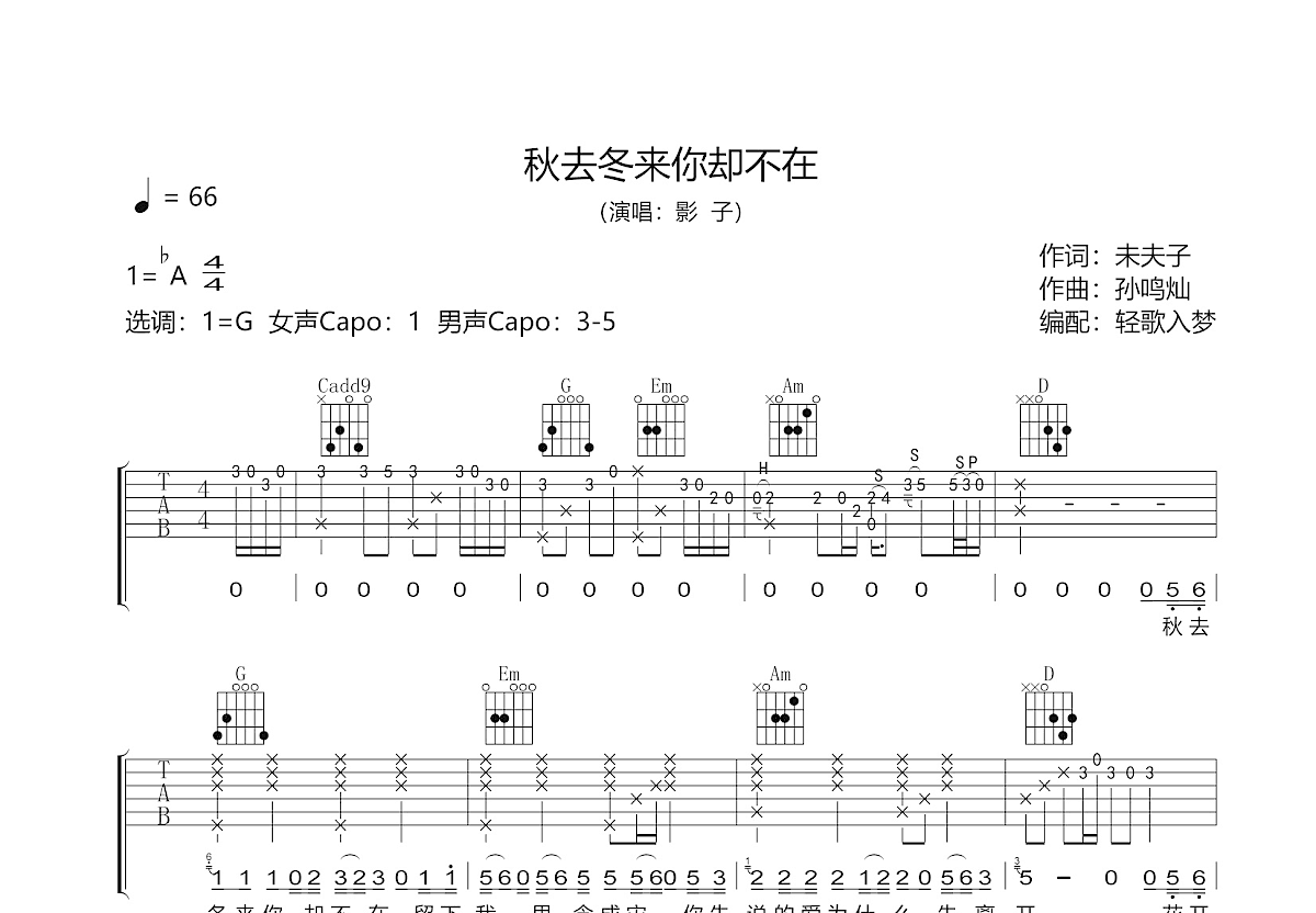 秋去冬来你却不在吉他谱预览图