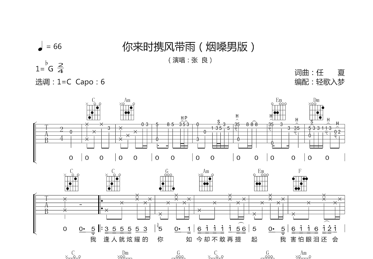 你来时携风带雨吉他谱预览图