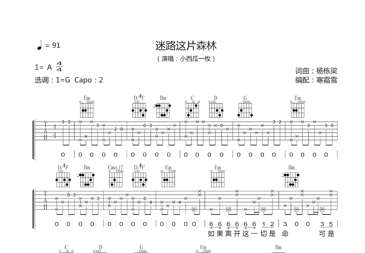 迷路这片森林吉他谱预览图