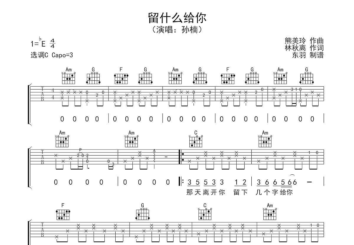 留什么给你吉他谱预览图