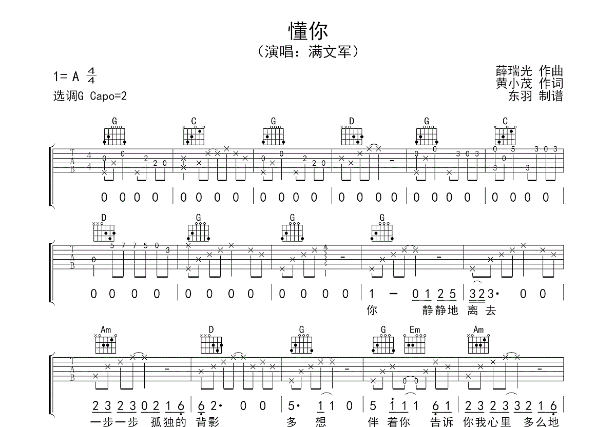 懂你吉他谱预览图