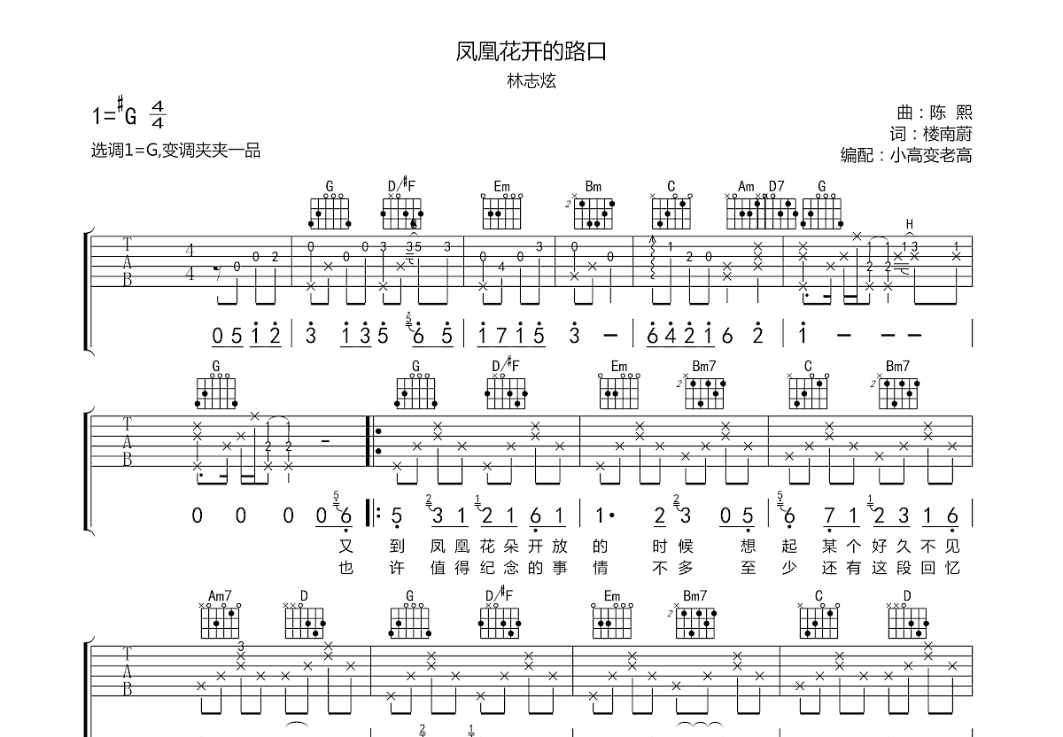 凤凰花开的路口吉他谱预览图