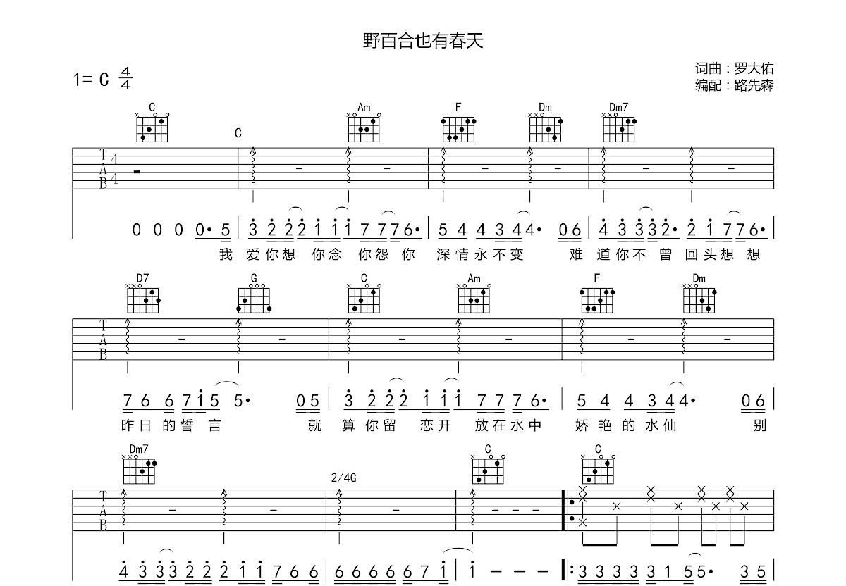 野百合也有春天吉他谱预览图