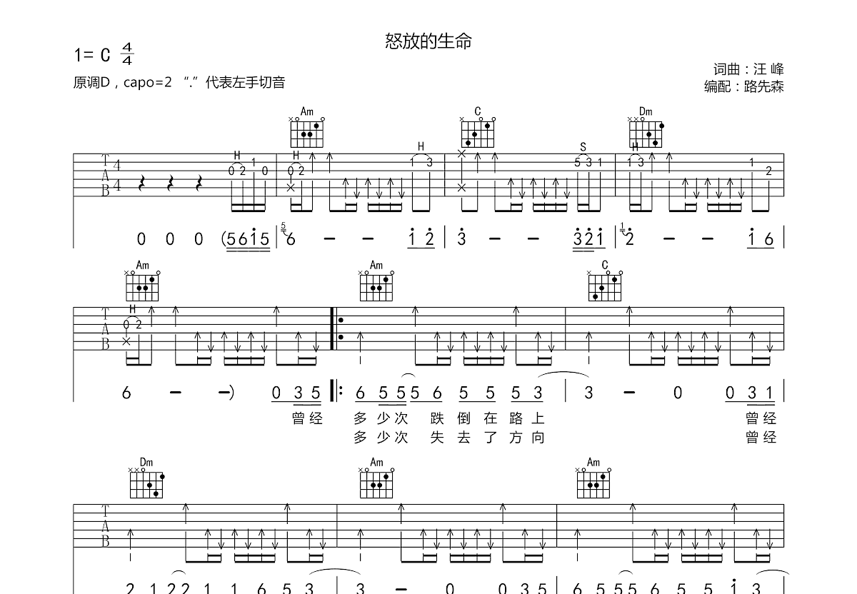 怒放的生命吉他谱预览图