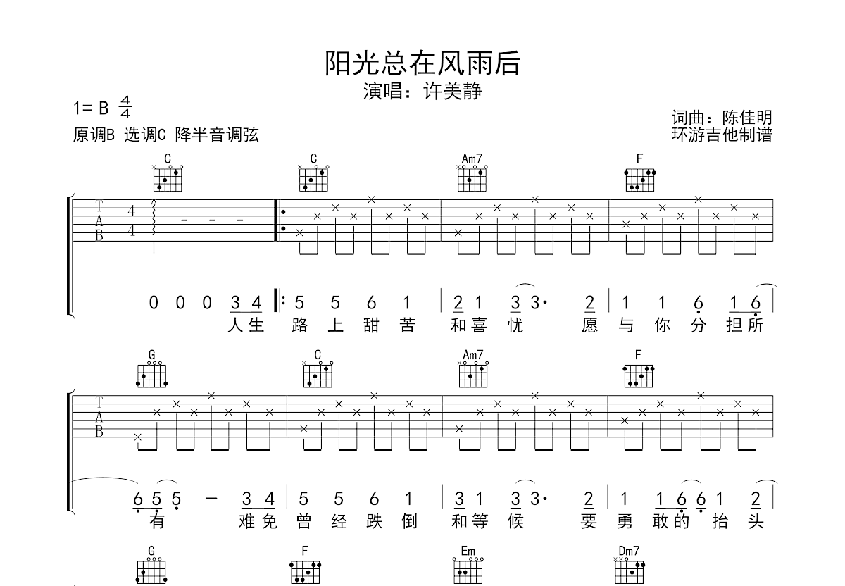 阳光总在风雨后吉他谱预览图