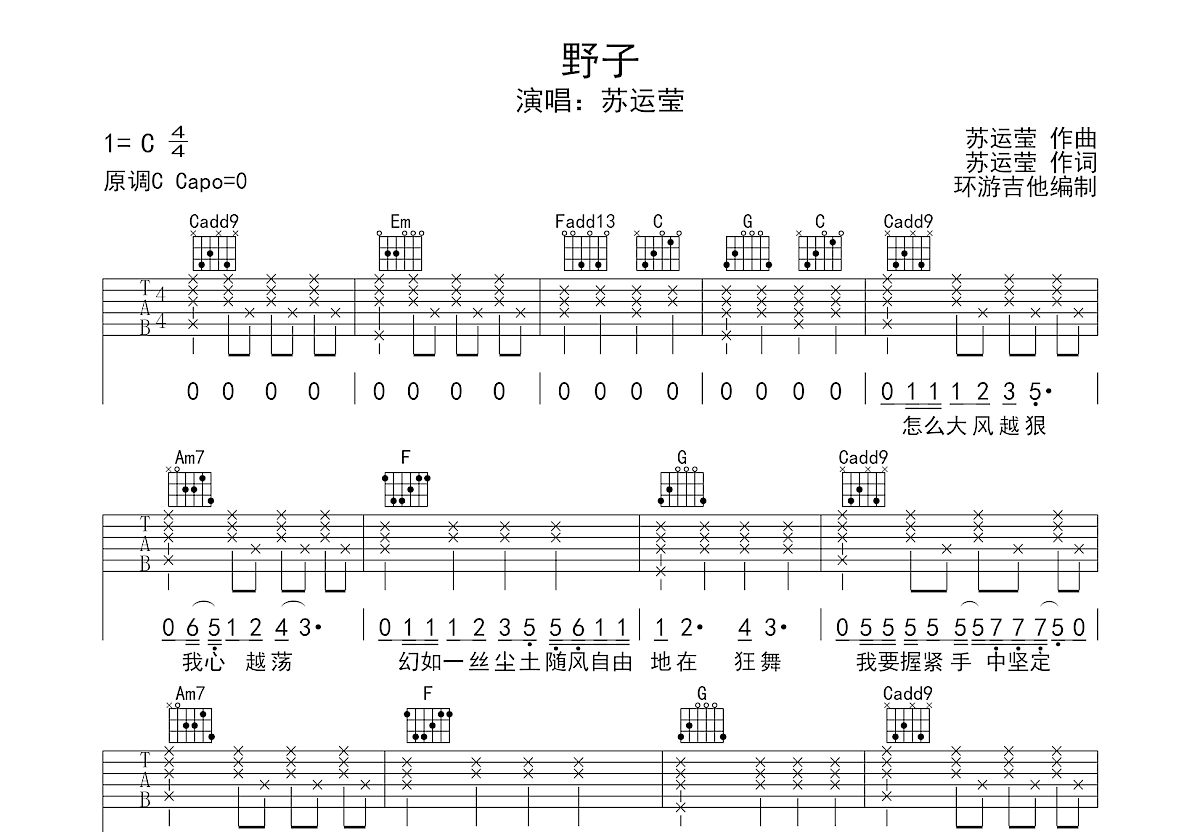 野子吉他谱预览图