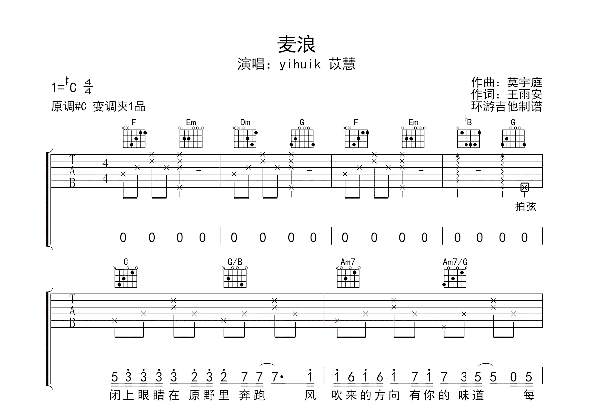 麦浪吉他谱预览图