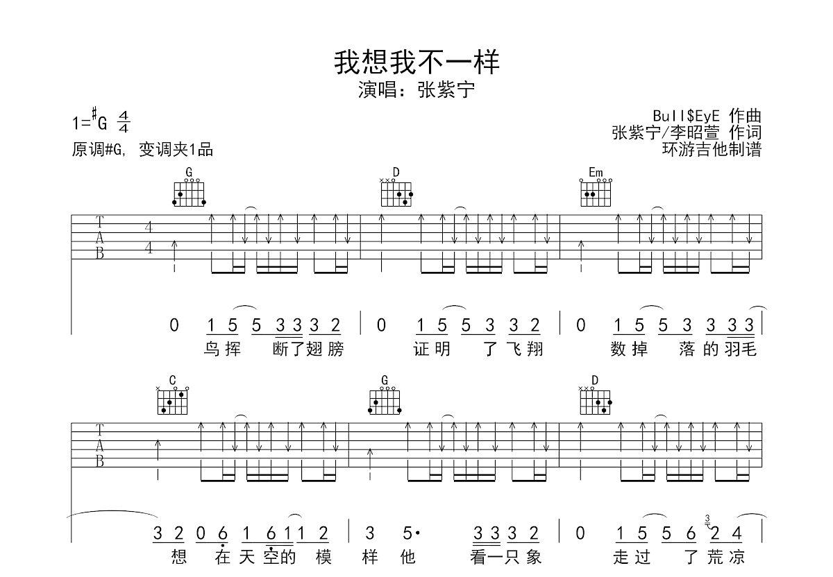 我想我不一样吉他谱预览图