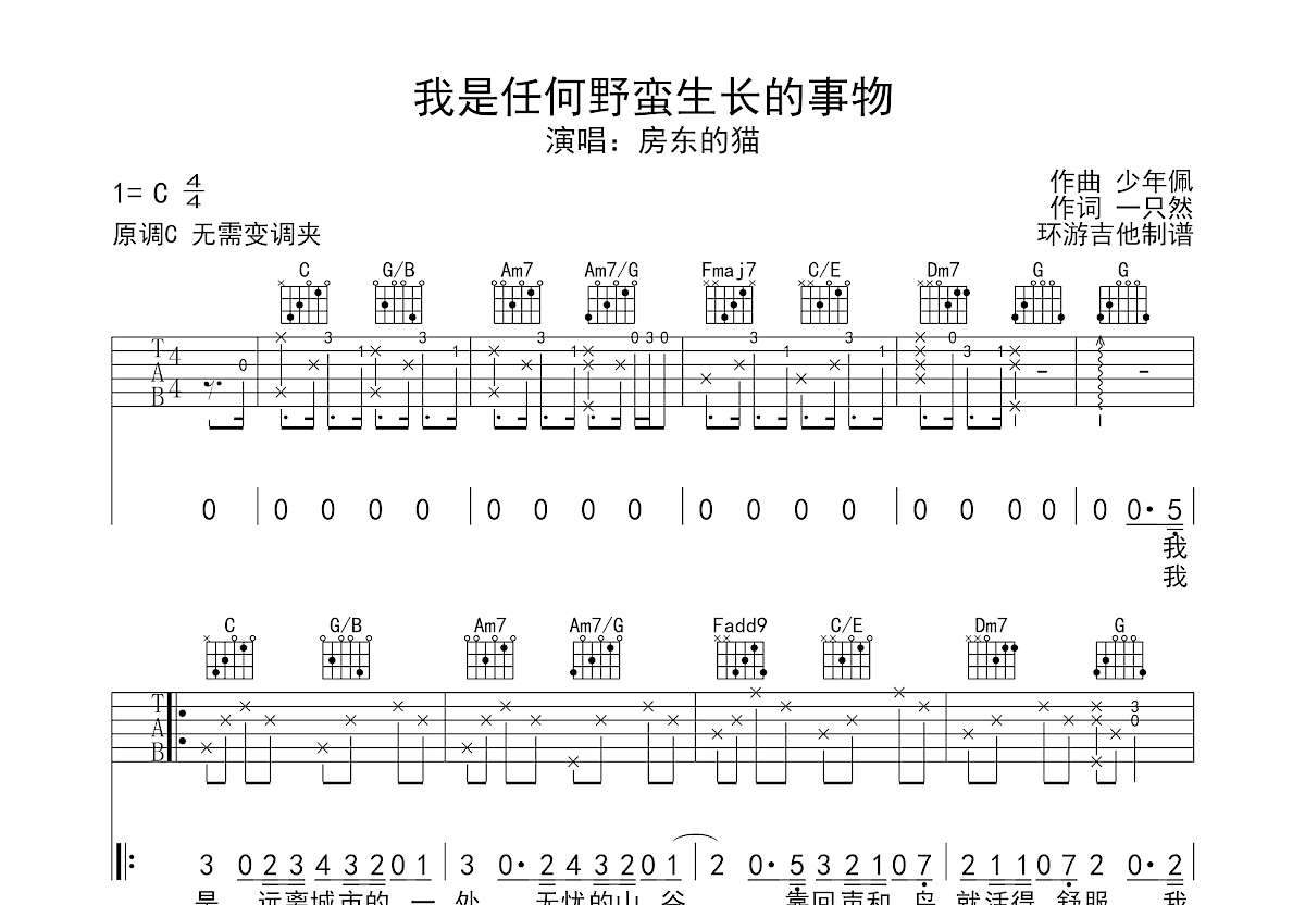 我是任何野蛮生长的事物吉他谱预览图