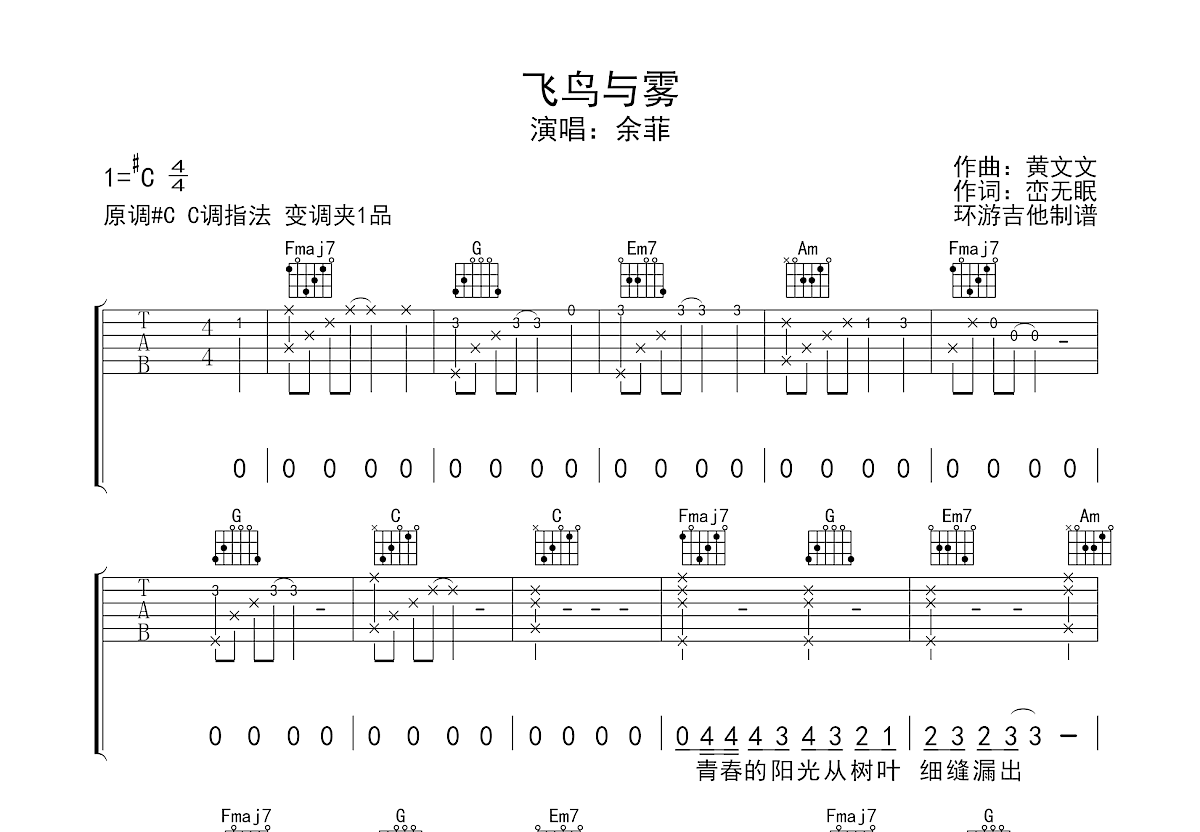 飞鸟与雾吉他谱预览图