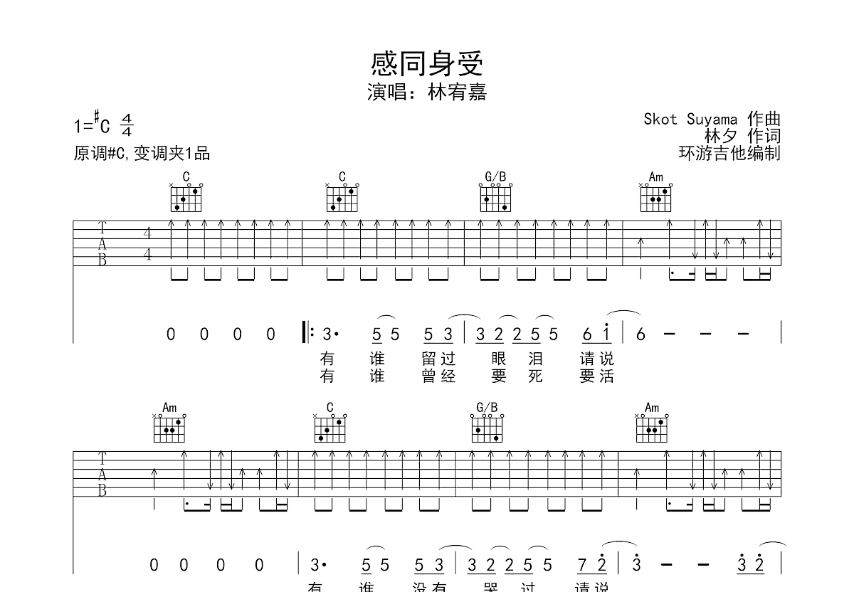 感同深受吉他谱预览图