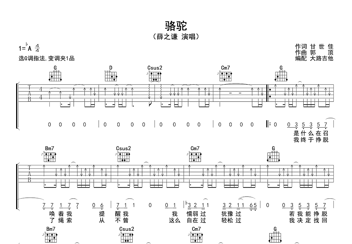 骆驼吉他谱预览图