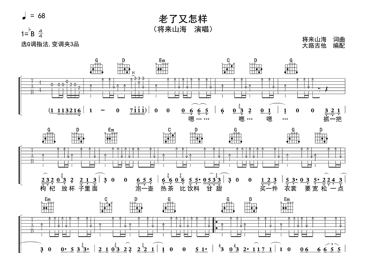 老了又怎样吉他谱预览图