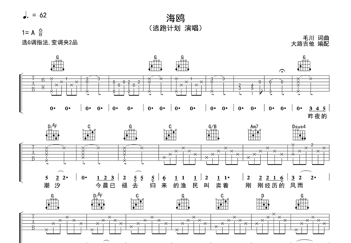 海鸥吉他谱预览图