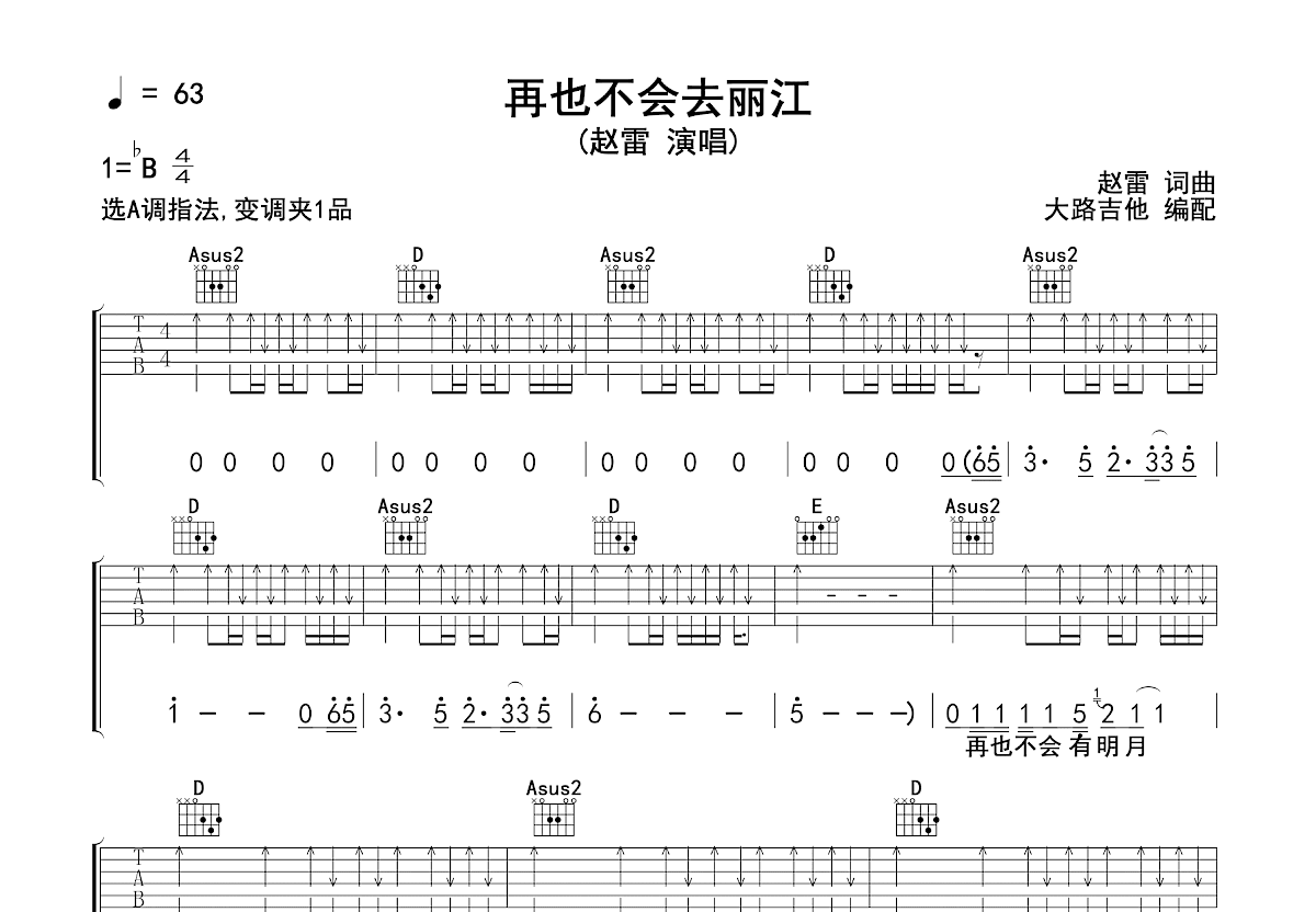 再也不会去丽江吉他谱预览图