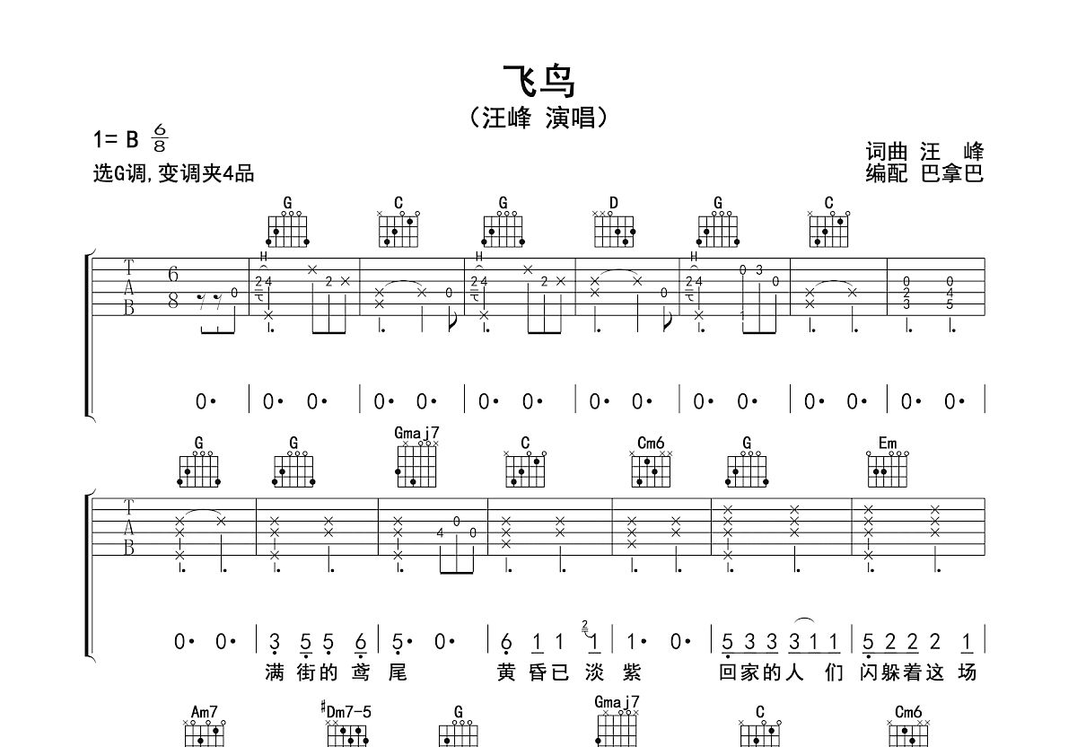 飞鸟吉他谱预览图