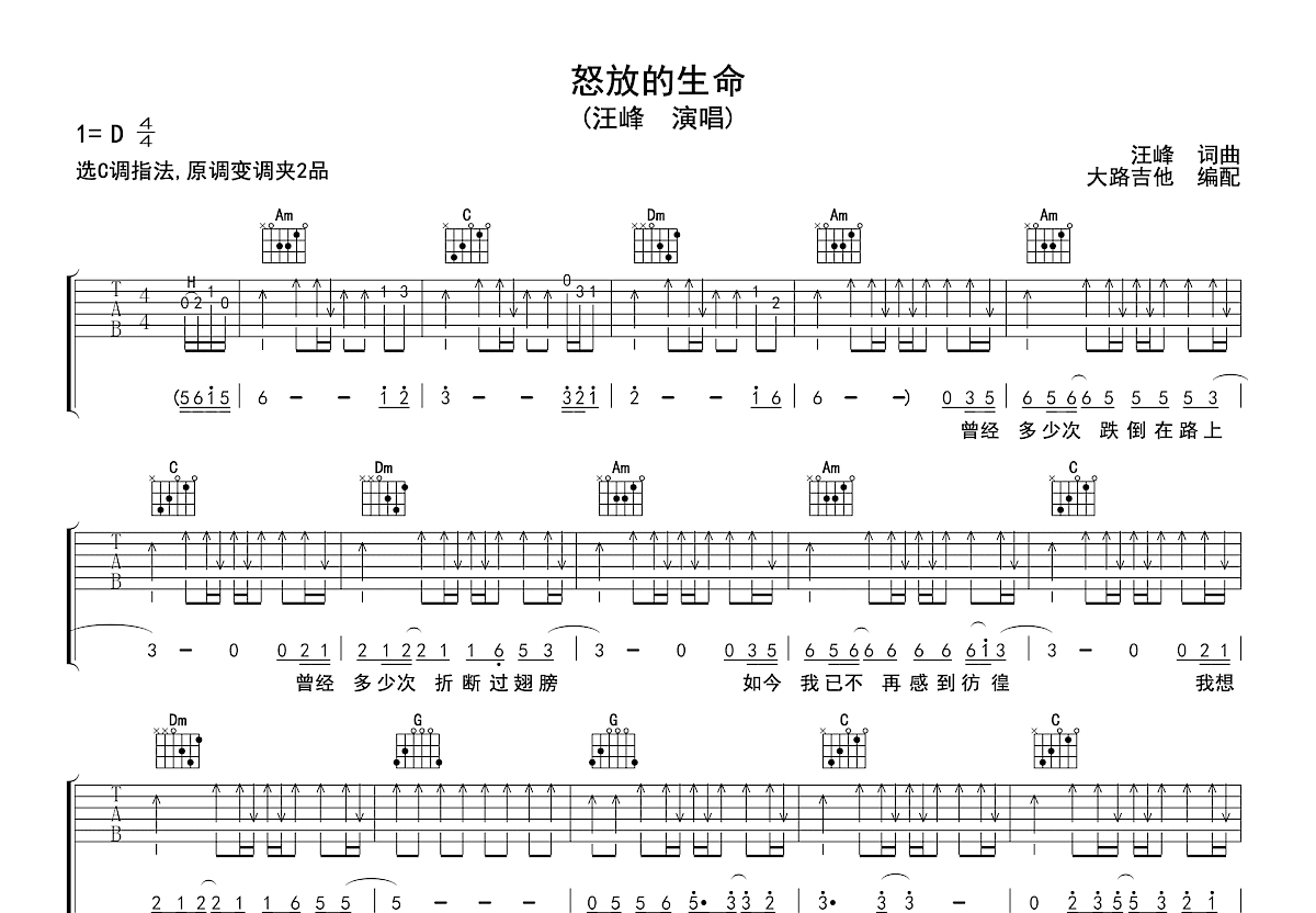 怒放的生命吉他谱预览图