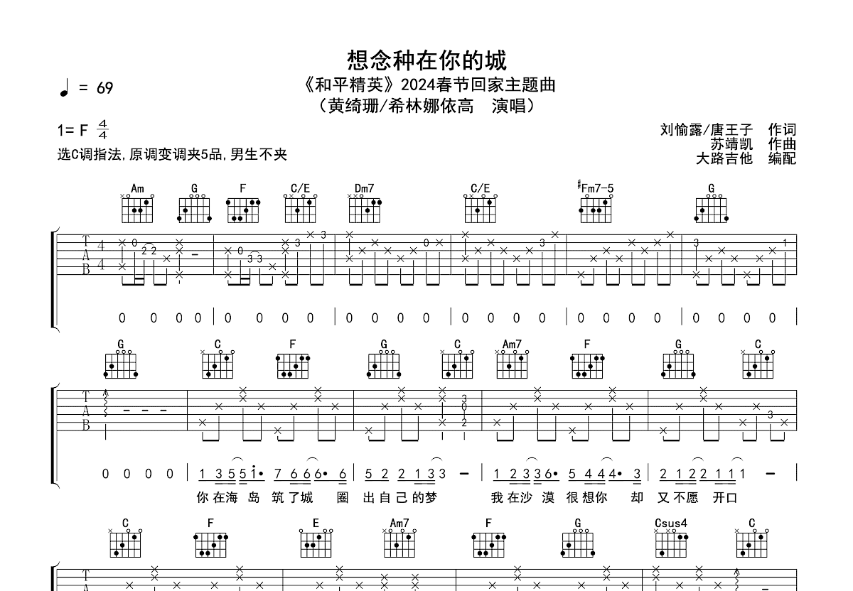 想念种在你的城吉他谱预览图