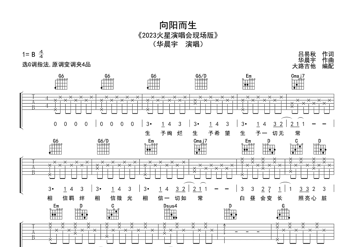 向阳而生吉他谱预览图