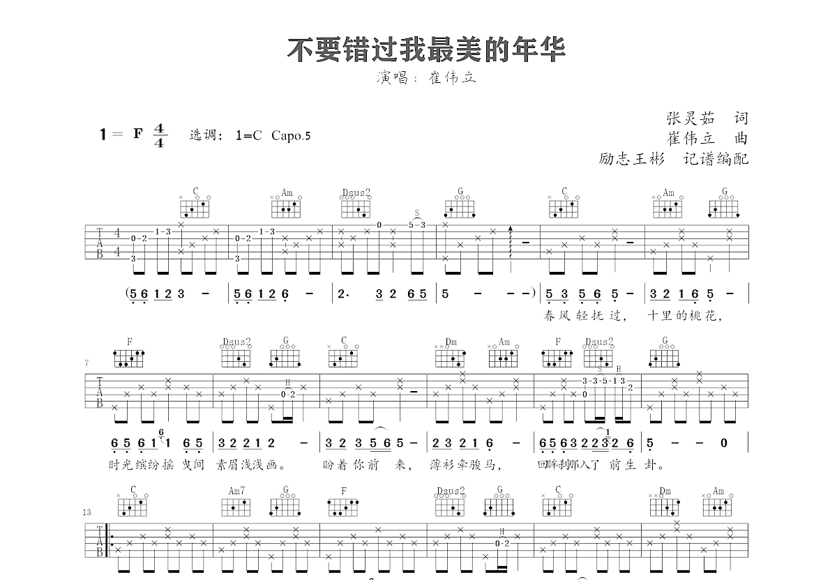 不要错过我最美的年华吉他谱预览图