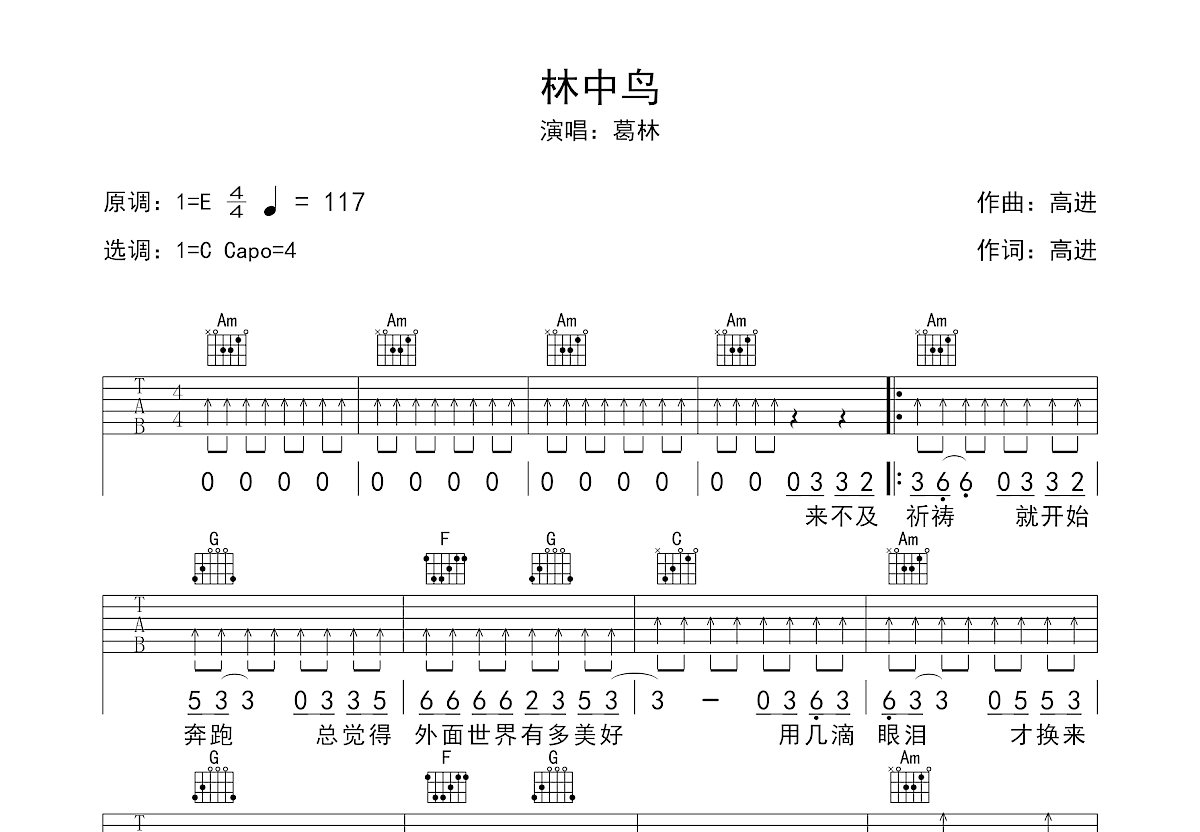 林中鸟吉他谱预览图