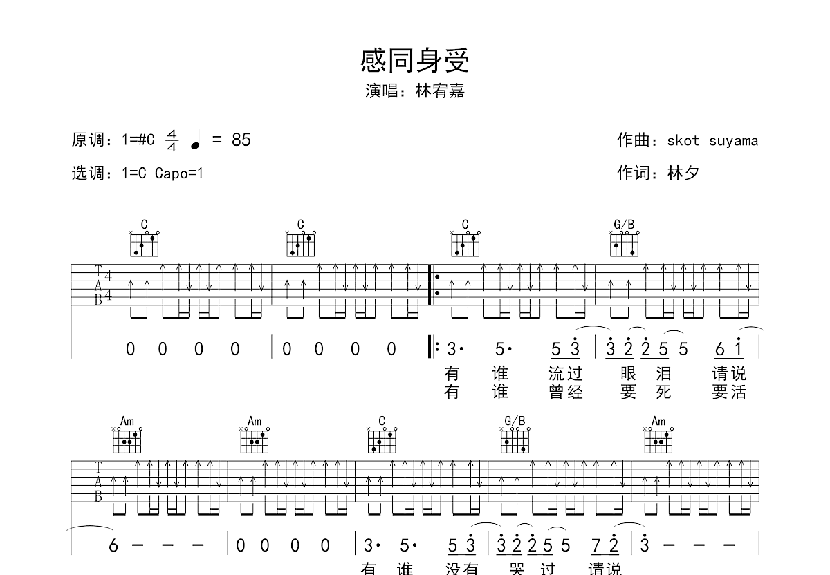 感同身受吉他谱预览图