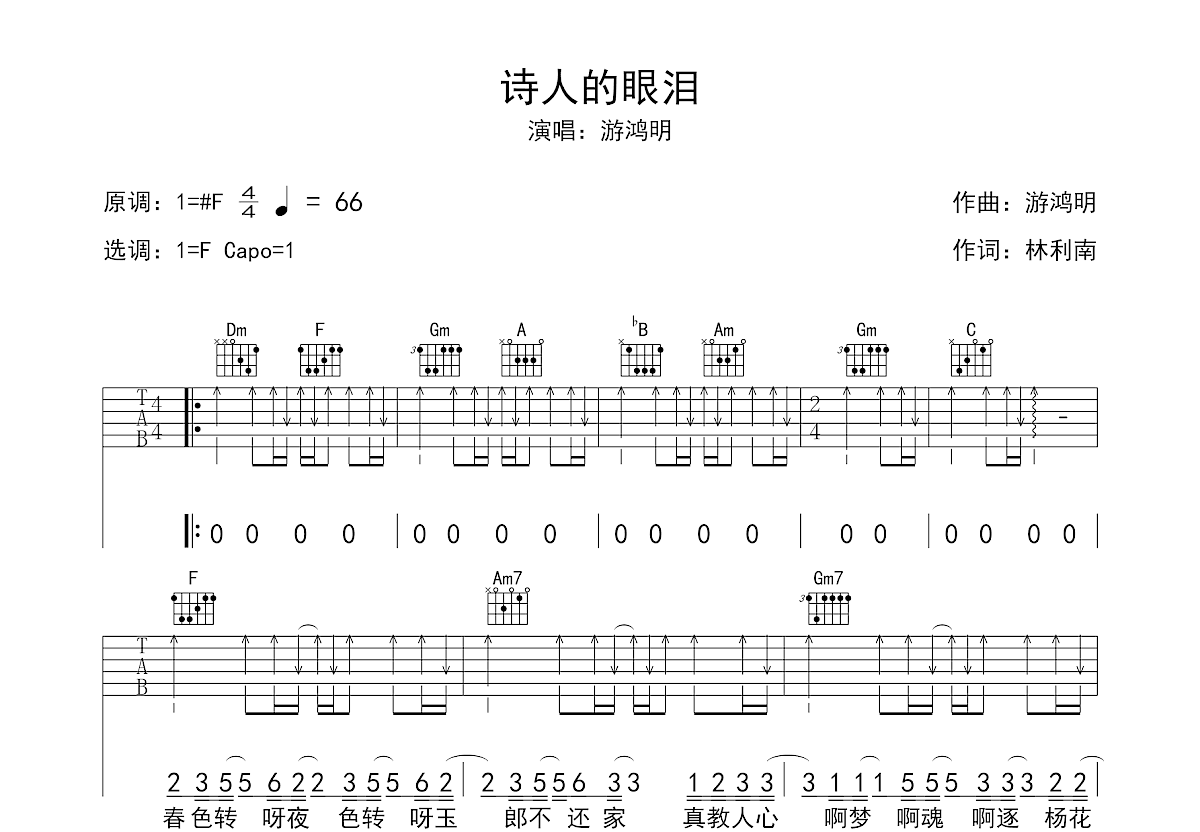 诗人的眼泪吉他谱预览图