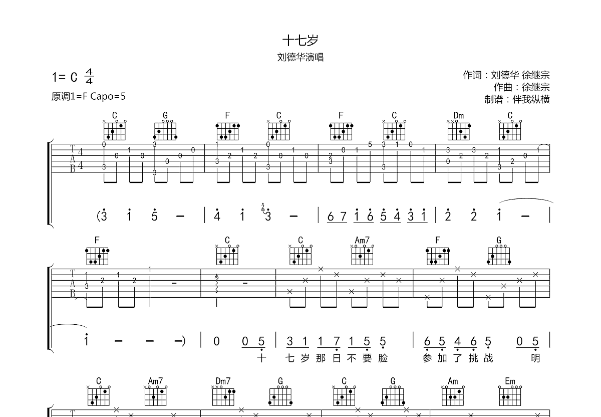 十七岁吉他谱预览图