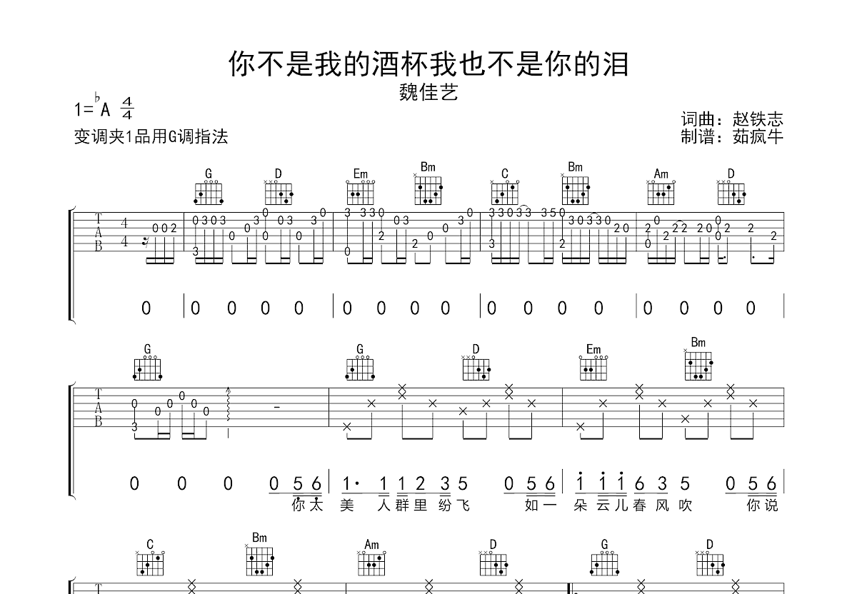 你不是我的酒杯我也不是你的泪吉他谱预览图