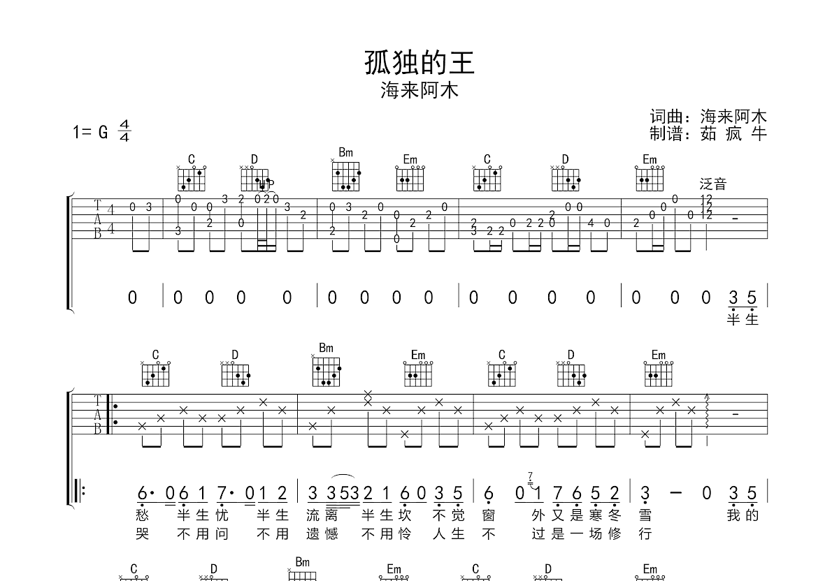 孤独的王吉他谱_海来阿木_G调弹唱