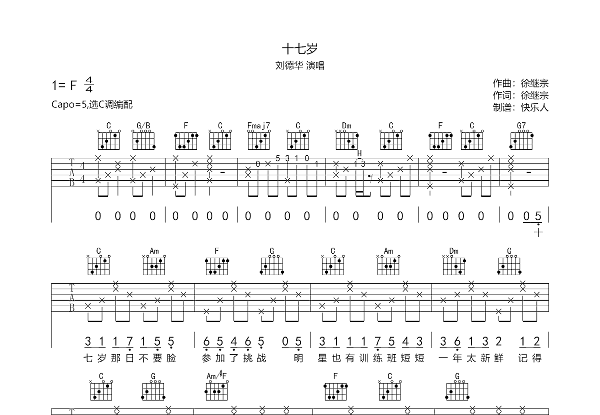 十七岁吉他谱预览图