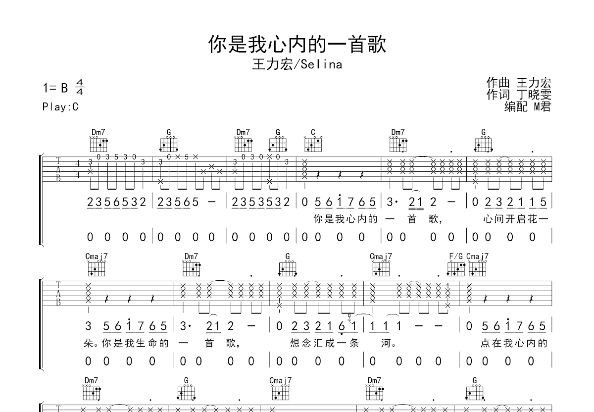 你是我心内的一首歌吉他谱预览图