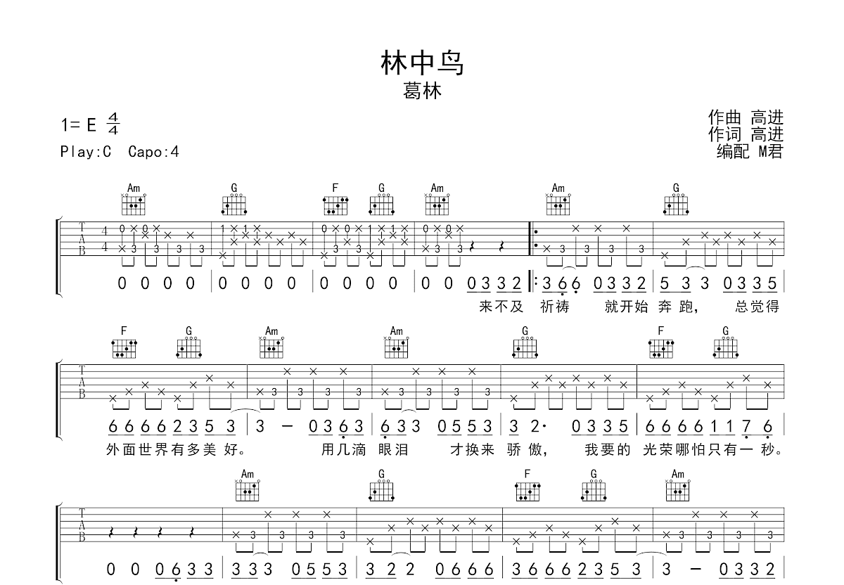 林中鸟吉他谱预览图